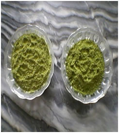 معرفی و راهنمای پرورش گیاهان دارویی - سنای ایتالیایی / حنا